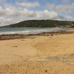 Lorne - Shelly beach